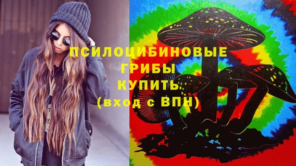 крисы Кинешма