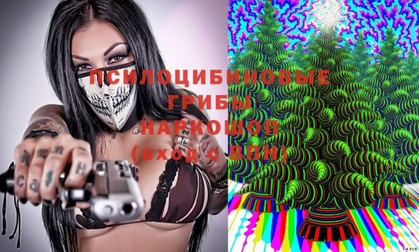 ПСИЛОЦИБИНОВЫЕ ГРИБЫ Киренск