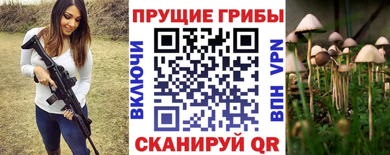 Купить закладки  Нефтегорск  Псилоцибиновые грибы MAGIC MUSHROOMS 